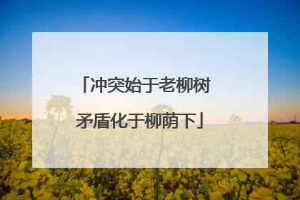 冲突始于老柳树 矛盾化于柳荫下