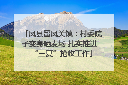 凤县留凤关镇：村委院子变身晒麦场 扎实推进“三夏”抢收工作