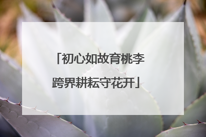 初心如故育桃李 跨界耕耘守花开