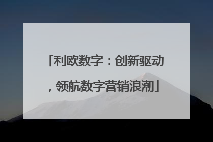 利欧数字：创新驱动，领航数字营销浪潮