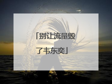 别让流量毁了韦东奕