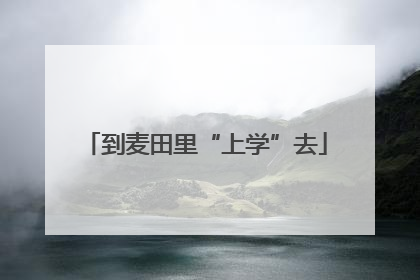 到麦田里“上学”去