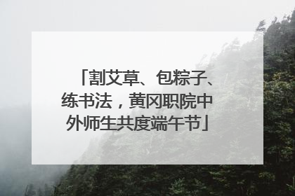 割艾草、包粽子、练书法，黄冈职院中外师生共度端午节
