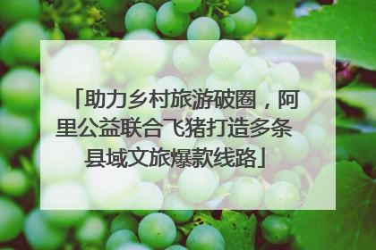 助力乡村旅游破圈，阿里公益联合飞猪打造多条县域文旅爆款线路