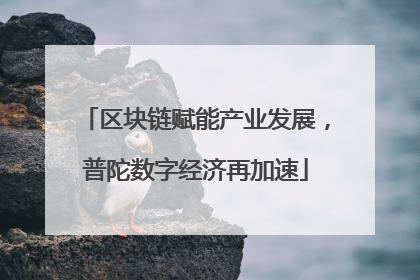 区块链赋能产业发展，普陀数字经济再加速
