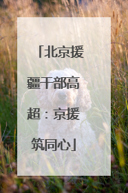 北京援疆干部高超：京援筑同心