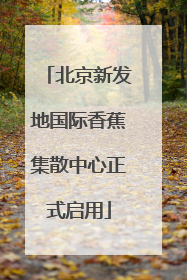 北京新发地国际香蕉集散中心正式启用