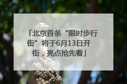 北京首条“限时步行街”将于6月13日开街，亮点抢先看