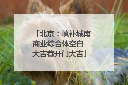 北京：填补城南商业综合体空白 大吉巷开门大吉