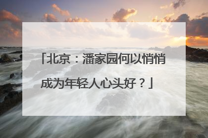 北京：潘家园何以悄悄成为年轻人心头好？