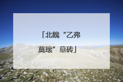 北魏“乙弗莫瓌”墓砖