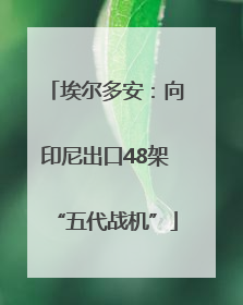 埃尔多安：向印尼出口48架“五代战机”