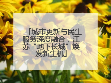 城市更新与民生服务深度融合，江苏“地下长城”焕发新生机