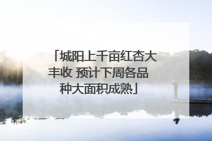 城阳上千亩红杏大丰收 预计下周各品种大面积成熟