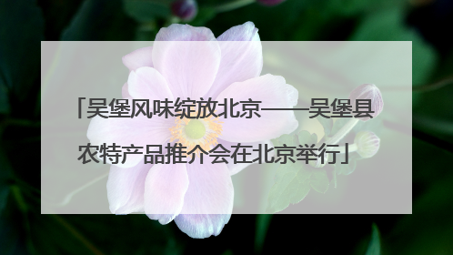 吴堡风味绽放北京——吴堡县农特产品推介会在北京举行