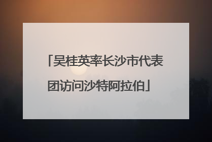 吴桂英率长沙市代表团访问沙特阿拉伯