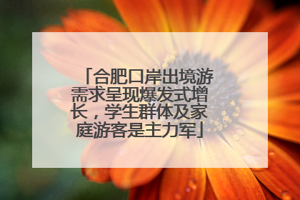 合肥口岸出境游需求呈现爆发式增长，学生群体及家庭游客是主力军