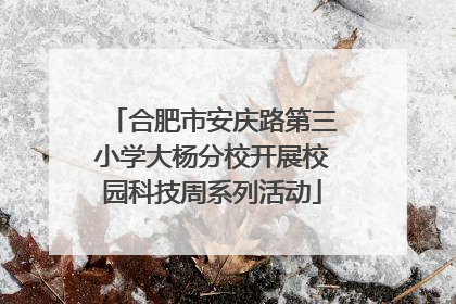 合肥市安庆路第三小学大杨分校开展校园科技周系列活动