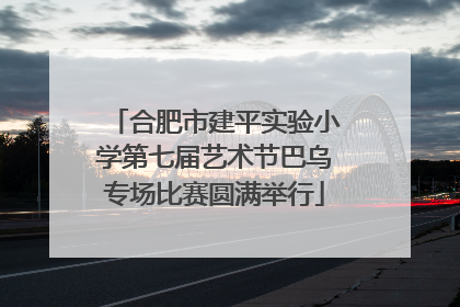 合肥市建平实验小学第七届艺术节巴乌专场比赛圆满举行