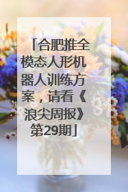 合肥推全模态人形机器人训练方案，请看《浪尖周报》第29期