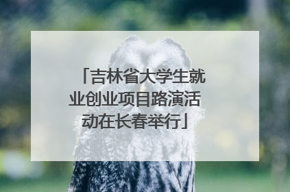 吉林省大学生就业创业项目路演活动在长春举行