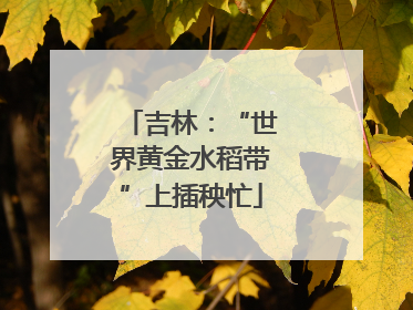 吉林：“世界黄金水稻带”上插秧忙
