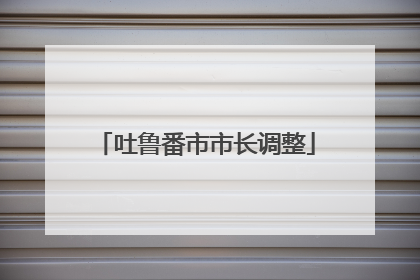 吐鲁番市市长调整