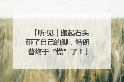 听·见｜搬起石头砸了自己的脚，特朗普终于“慌”了！