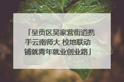 呈贡区吴家营街道携手云南师大 校地联动铺就青年就业创业路