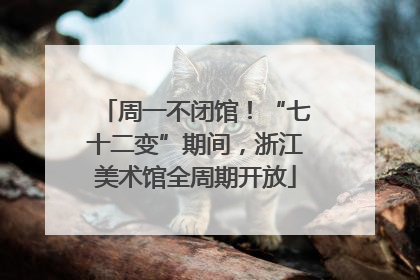 周一不闭馆!“七十二变”期间,浙江美术馆全周期开放