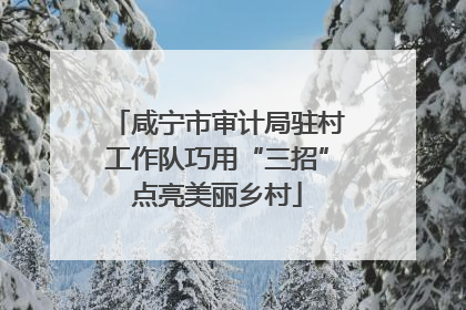 咸宁市审计局驻村工作队巧用“三招”点亮美丽乡村