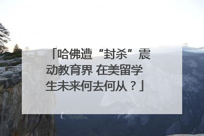 哈佛遭“封杀”震动教育界 在美留学生未来何去何从？
