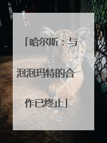 哈尔斯：与泡泡玛特的合作已终止