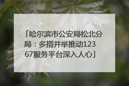 哈尔滨市公安局松北分局：多措并举推动12367服务平台深入人心