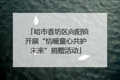 哈市香坊区向阳镇开展“情暖童心共护未来”捐赠活动