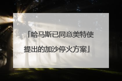 哈马斯已同意美特使提出的加沙停火方案