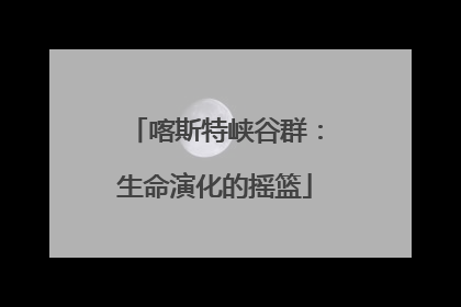 喀斯特峡谷群：生命演化的摇篮