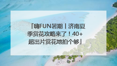 嗨FUN暑期丨济南夏季赏花攻略来了！40+超出片赏花地拍个够