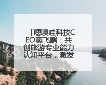 嗯噢哇科技CEO窦飞鹏：共创旅游专业能力认知平台，激发行业“自生长”力量