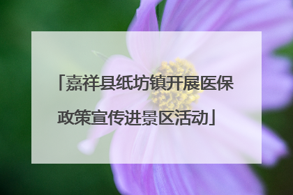 嘉祥县纸坊镇开展医保政策宣传进景区活动