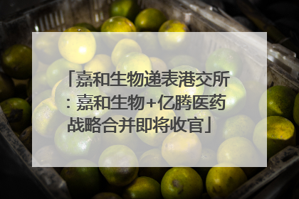 嘉和生物递表港交所：嘉和生物+亿腾医药战略合并即将收官