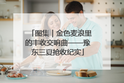 图集｜金色麦浪里的丰收交响曲——豫东三夏抢收纪实
