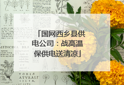 国网西乡县供电公司：战高温保供电送清凉