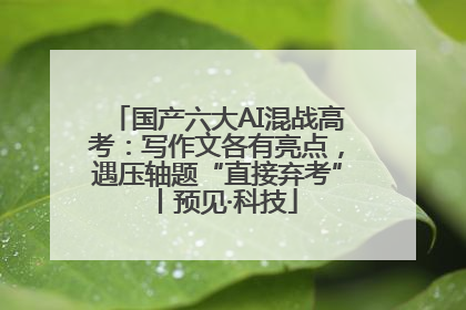 国产六大AI混战高考：写作文各有亮点，遇压轴题“直接弃考”丨预见·科技