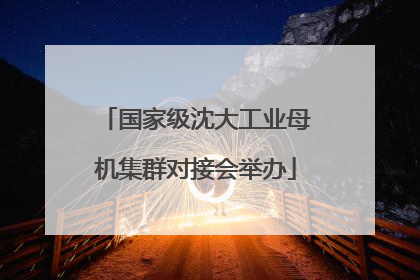 国家级沈大工业母机集群对接会举办