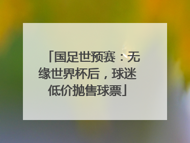 国足世预赛：无缘世界杯后，球迷低价抛售球票