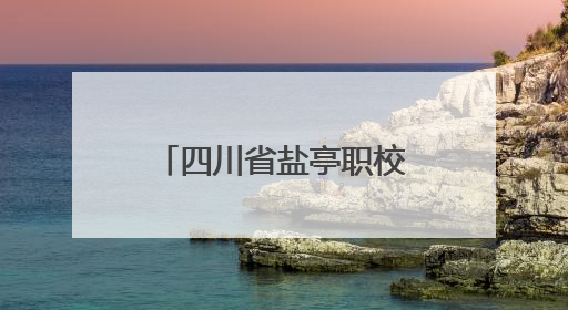 四川省盐亭职校在省级机器人挑战赛中勇夺第一名，强势入围国赛！
