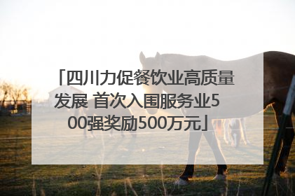 四川力促餐饮业高质量发展 首次入围服务业500强奖励500万元