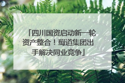 四川国资启动新一轮资产整合！蜀道集团出手解决同业竞争