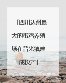 四川达州最大的蛋鸡养殖场在普光镇建成投产